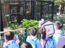 K3-參觀香港動植物公園